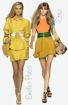 2008 ����, �����. ������ �����. �����. ������ ����������.